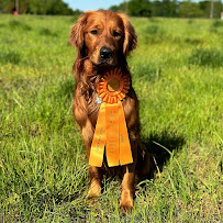 Hope Retrievers