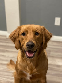 Hope Retrievers