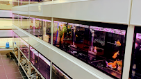 Aqua Land Aquarium And Pet Food I Aquarium and Pet Food in Dubai | UAE