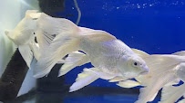 Aqua Land Aquarium And Pet Food I Aquarium and Pet Food in Dubai | UAE