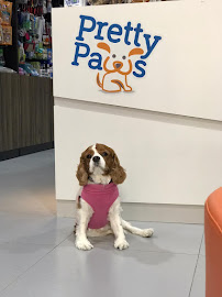Pretty Paws