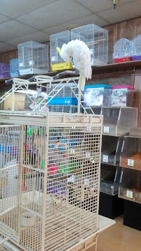 Brazos Feed & Supply - Waco, Texas