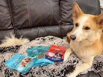 Precious Creatures Pets Food Manufacturing