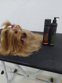 ComPatinhas Pet Shop