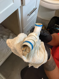 The Houston Plumbing Company