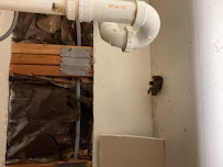 All American Plumbing