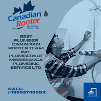 Canadian Rooter Burlington