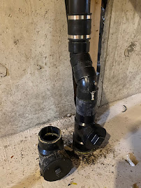 Budget Rooter