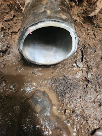 The Pro Plumbing