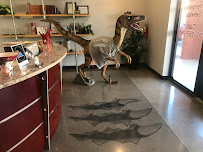 Raptor Plumbing Las Vegas