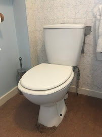 Above and Below Plumbing Services