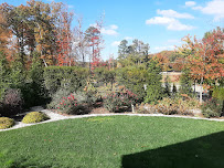 Alpha Exterior Solutions, LLC