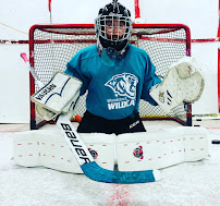 Goalies by Doug