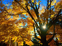 Royal Cachet Montessori School