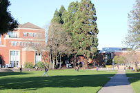 Pacific International Academy