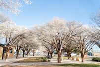 Lubbock Christian School