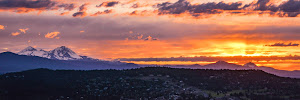 Elevation Property Management