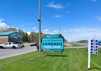 Aces Cannabis Co.