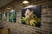 Off the Stem - Your local Cannabis Store