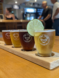 Old Dog Brewing Co