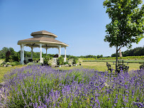 Bonnieheath Estate Lavender & Winery