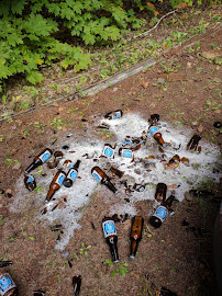 Beer Store 3543