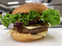 New Burger Planet Inc.