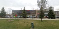 Selena Cheung - Real Estate In Edmonton