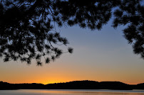 Forest Hill Real Estate Inc. Brokerage - The Baum Team