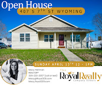 Nick Schauble REALTOR The Royal Realty Company Illinois