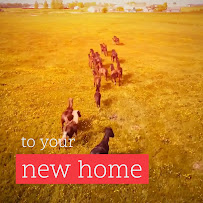 Avtar Singh, Homelife Silvercity Realty Inc.