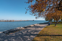 Luna Faisal Realtor - Royal LePage Signature Realty Mississauga