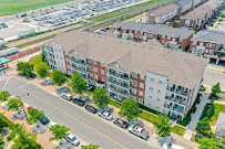 Team Smok-Real Estate - Royal LePage Signature Realty, Brokerage