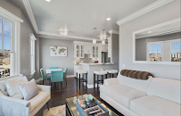 Salma & Company Real Estate - San Francisco Real Estate