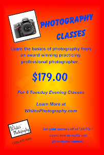 White's Photography