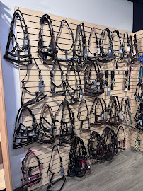 Greenhawk Equestrian Sport - Halifax