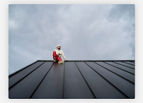 Absolute Commercial Roofing