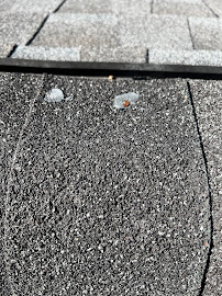 Brabant Roofing