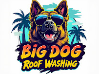 Big Dog Roof Washing