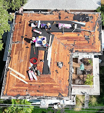 The Roofologist