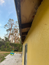 Sunnyside Roof Rejuvenate