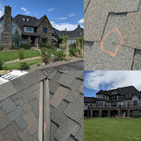 No Zombies Roofing