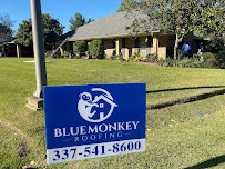 Blue Monkey Roofing