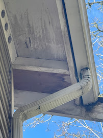Roof Today