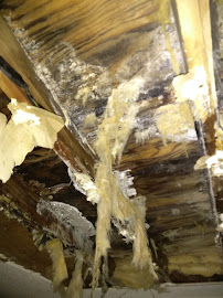 Treasure Coast Roofing LLC