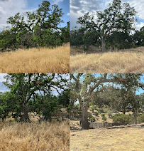 Nationwide Environmental DBA Nationwide Sun