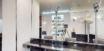 siena studio
