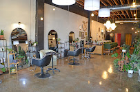 Hollywood Beauty Palace