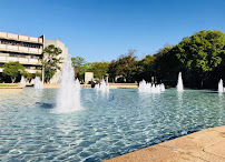 University of Houston
