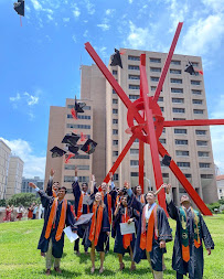 Cockrell School of Engineering